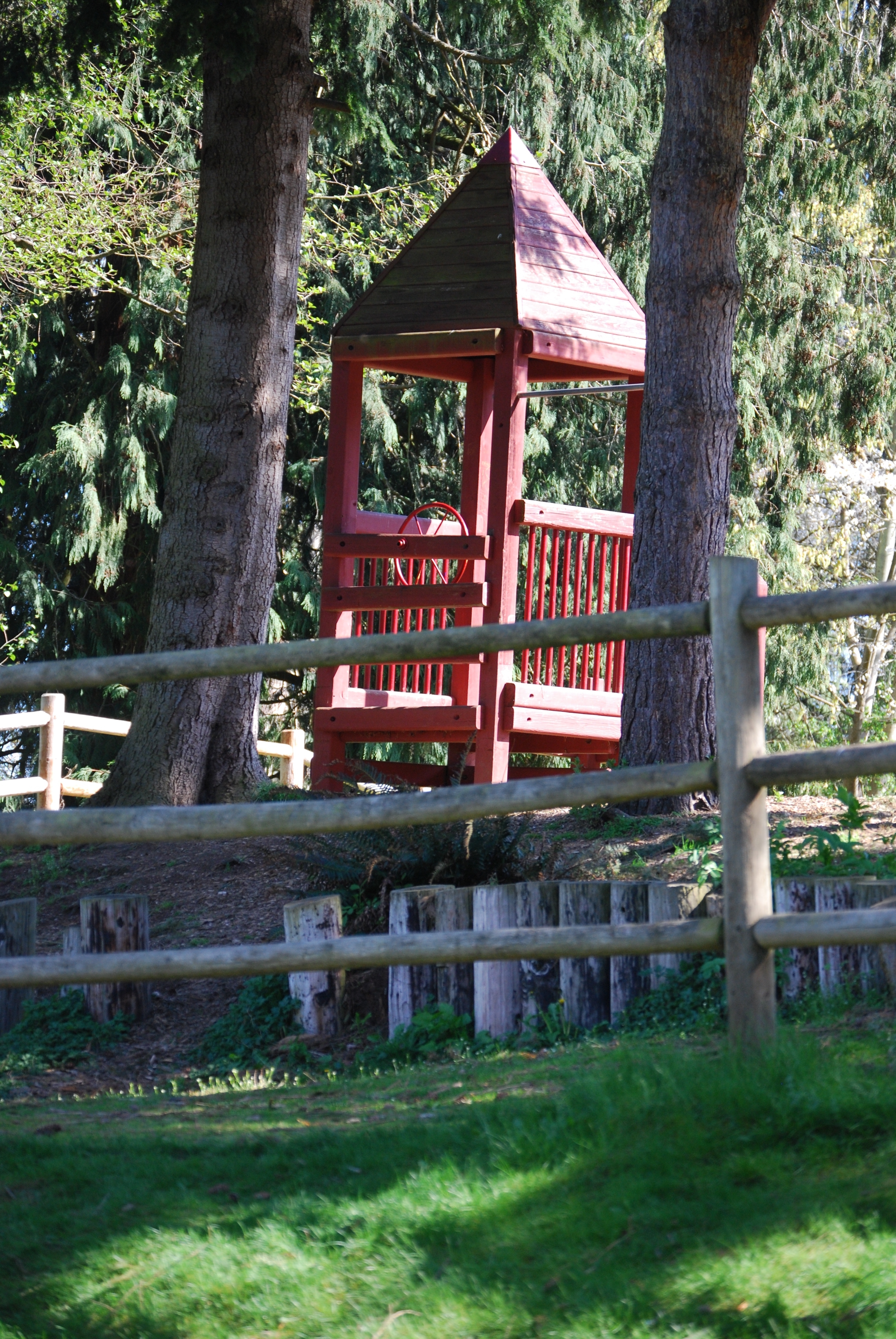 Jennings Park Trees Fixed